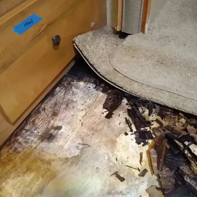 Wood Floor Water Damage in Elbert County, CO